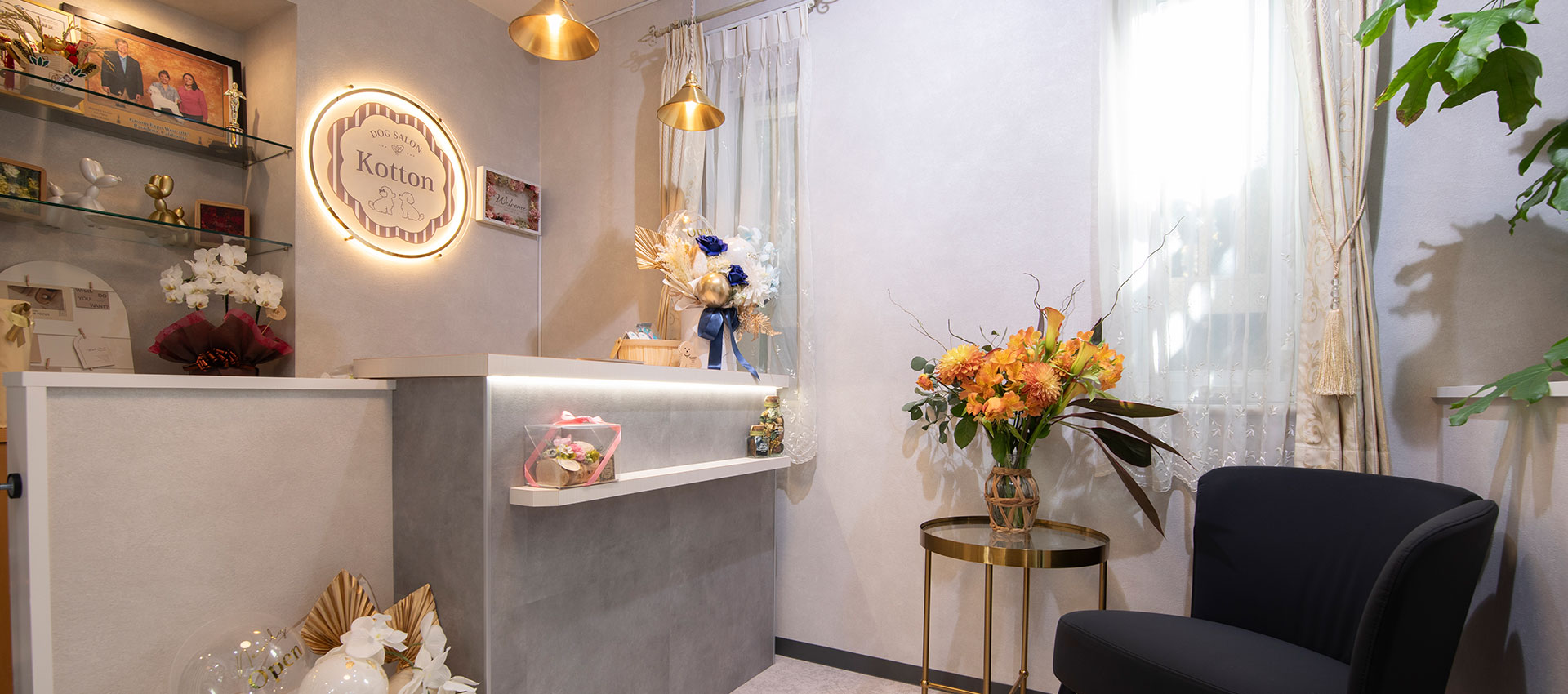 DogSalon Kotton
