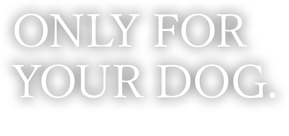 完全入れ替え制の静かな空間で、心まで寄り添う施術を。